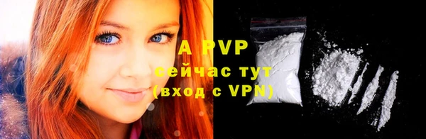 первитин Богданович
