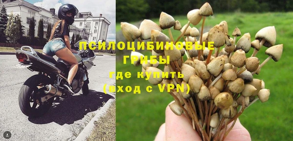 бошки Богородск