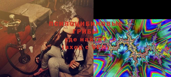 первитин Богданович