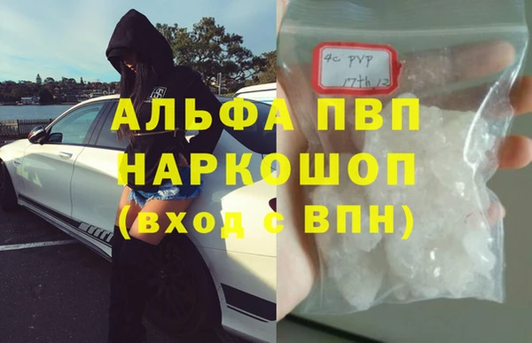 первитин Богданович