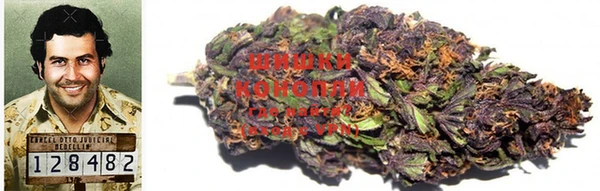 первитин Богданович