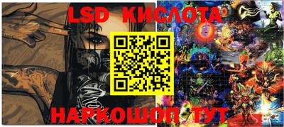 apvp Кингисепп