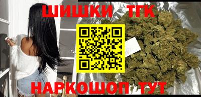 apvp Кингисепп