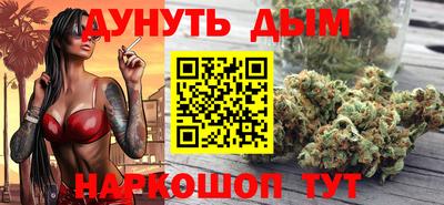 apvp Кингисепп