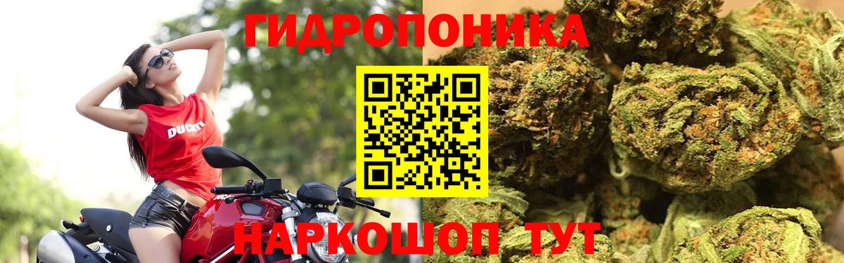 Реж  Каннабис марихуана  Конопля семена  Бошки Шишки семена  Вход с VPN  Конопля OG Kush 